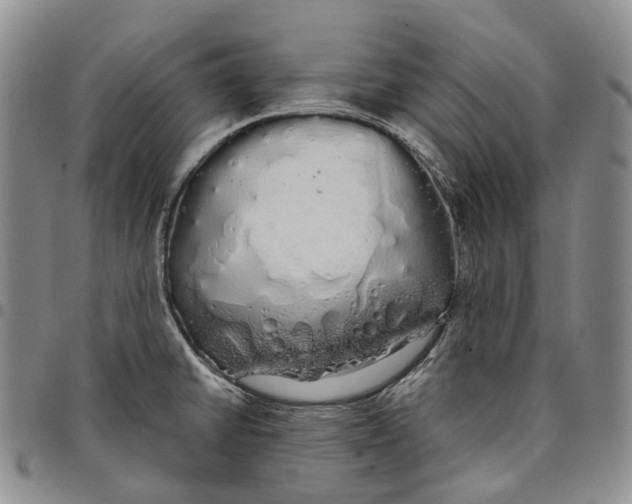 X0000097991430200804141131