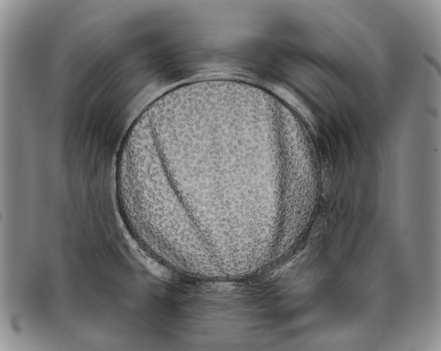 X0000097991431200804141131