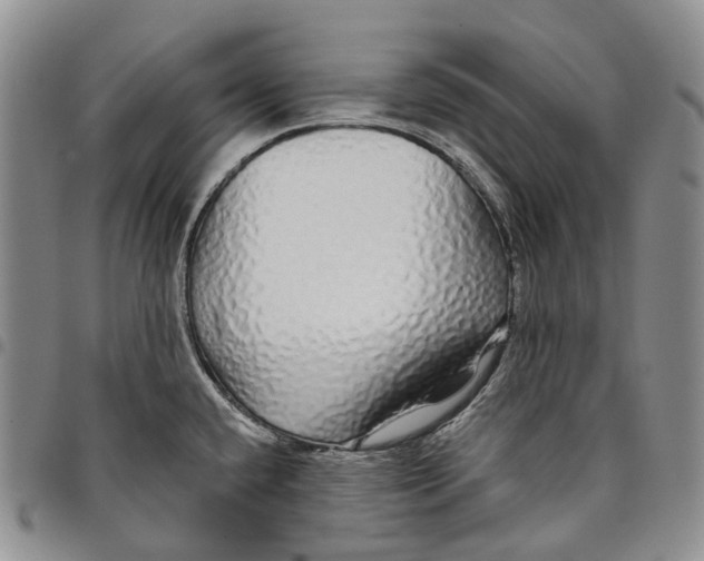 X0000097991432200804141131