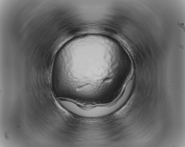 X0000097991433200804141131