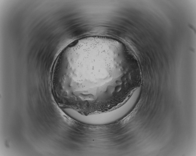 X0000097991434200804141131