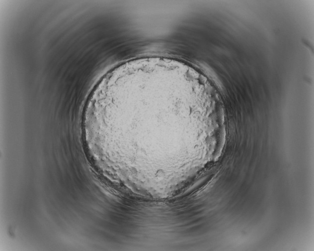 X0000097991435200804141131
