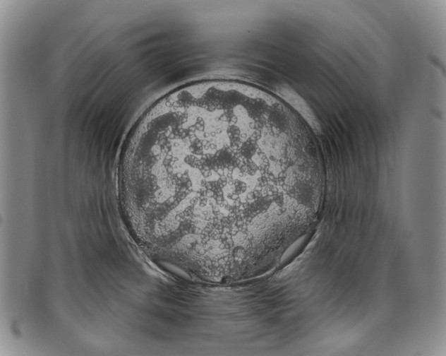 X0000097991436200804141131