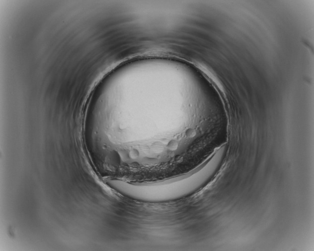 X0000097991437200804141131