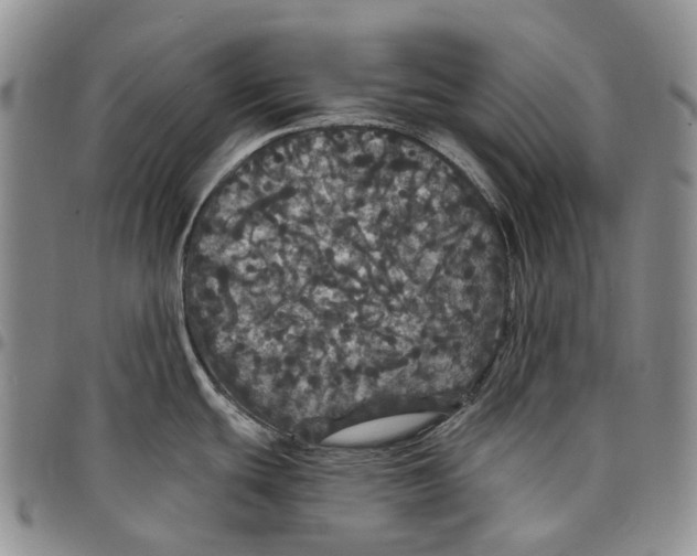 X0000097991439200804141131