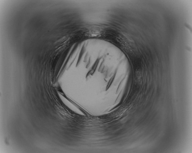 X0000097991442200804141130