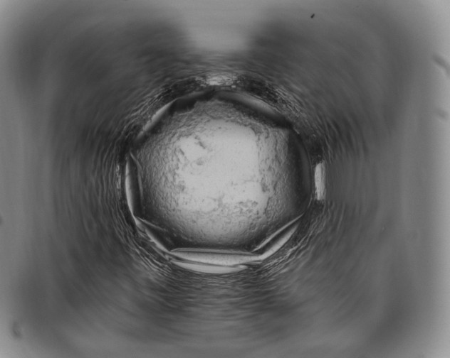 X0000097991443200804141130