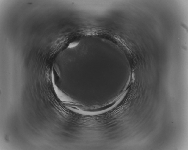 X0000097991444200804141130