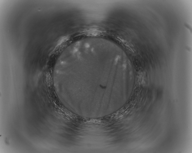 X0000097991446200804141130