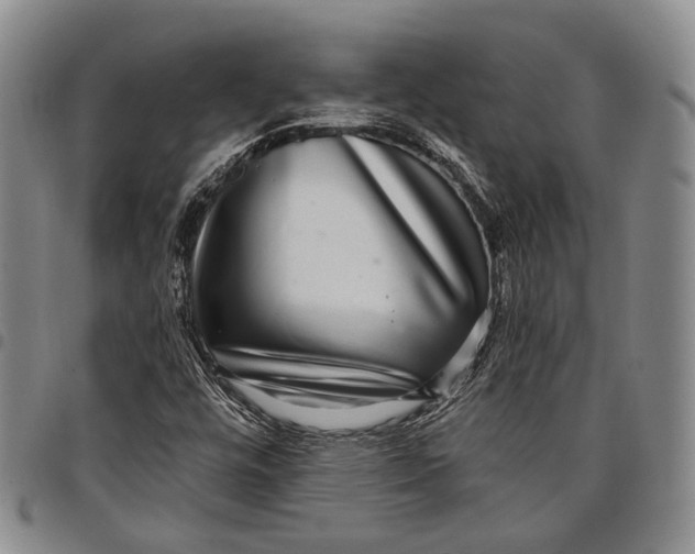 X0000097991448200804141130