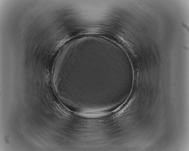 X0000097991449200804141130