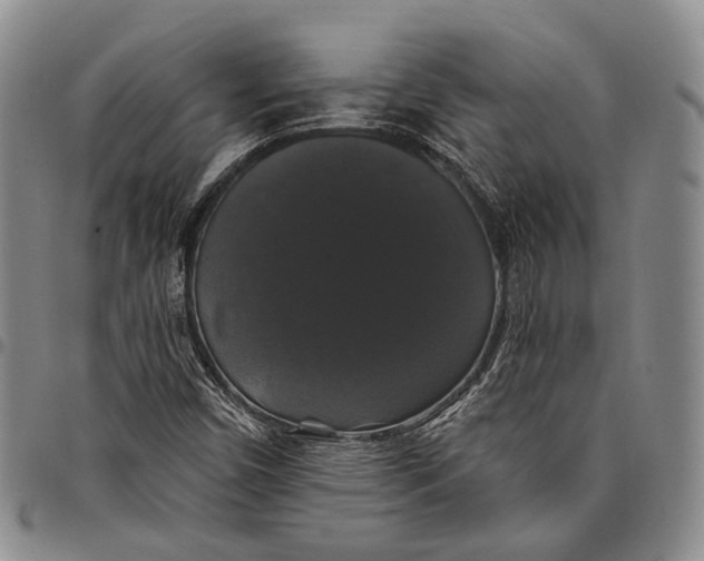 X0000097991450200804141130
