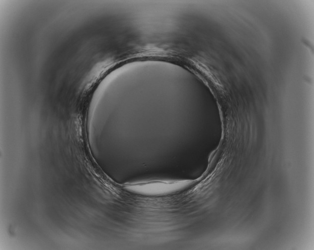 X0000097991455200804141130