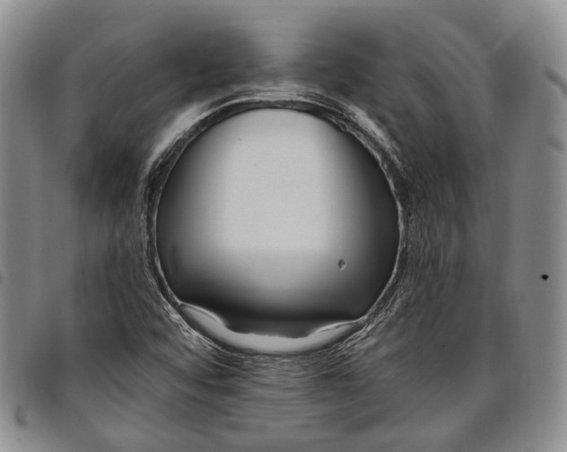 X0000097991456200804141130