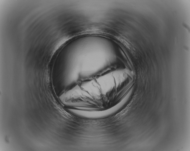 X0000097991458200804141130