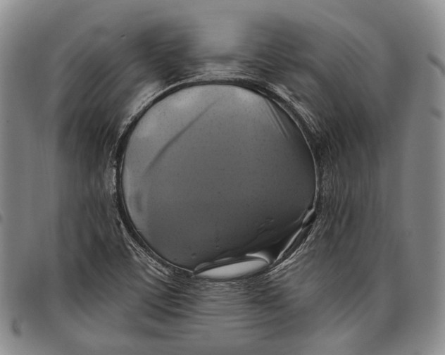 X0000097991459200804141130