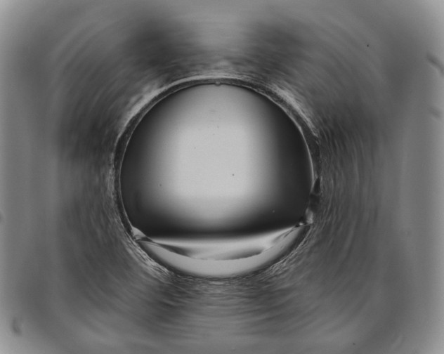 X0000097991460200804141130