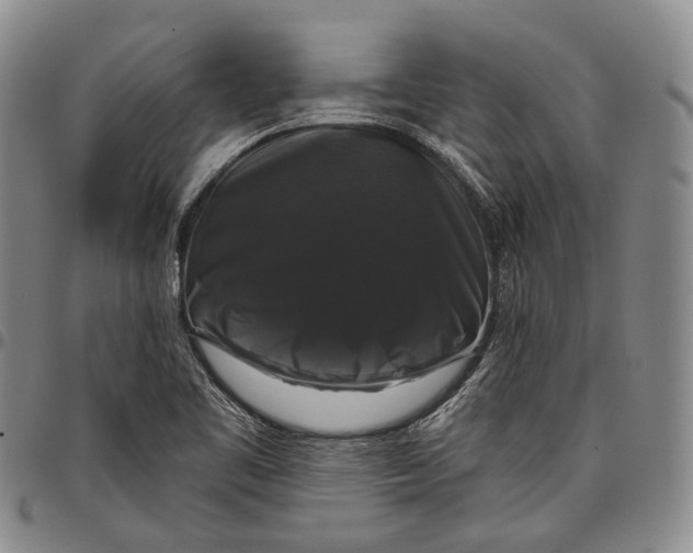 X0000097991461200804141130
