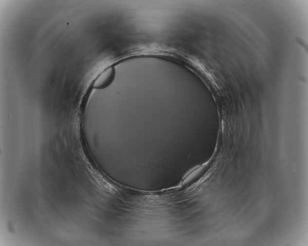 X0000097991463200804141130