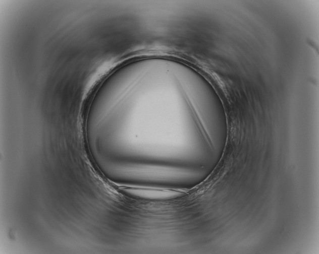 X0000097991464200804141130