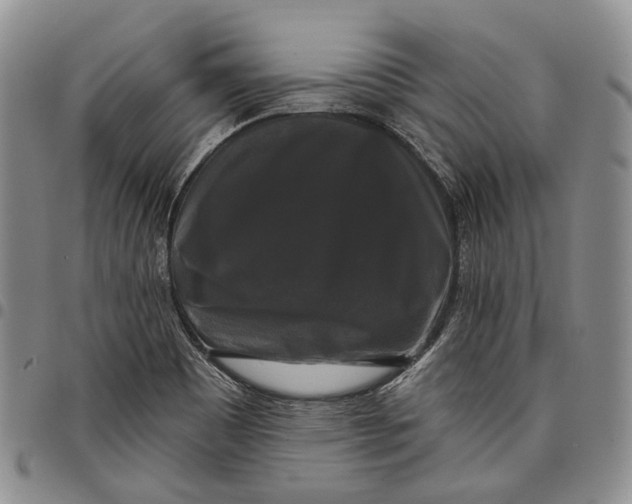 X0000097991465200804141130