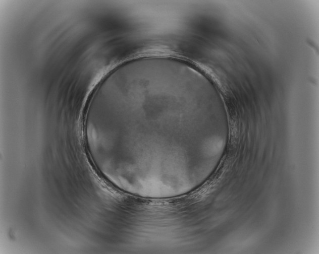 X0000097991466200804141130