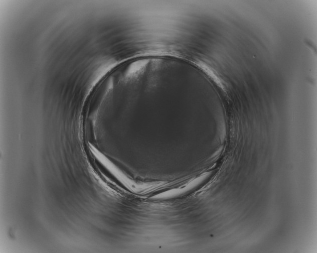 X0000097991468200804141130