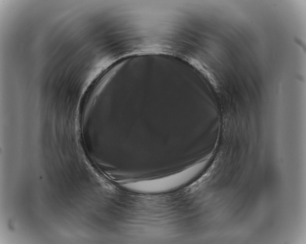 X0000097991469200804141130