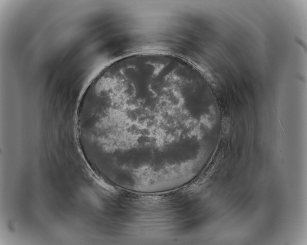 X0000097991470200804141130