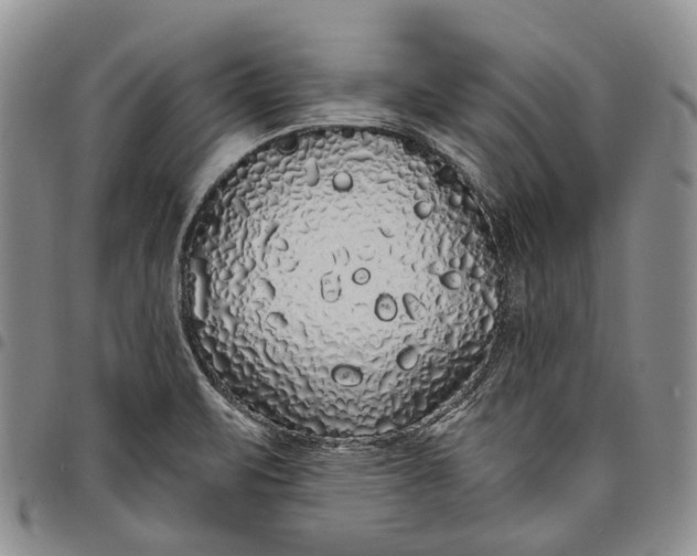 X0000097991471200804141130