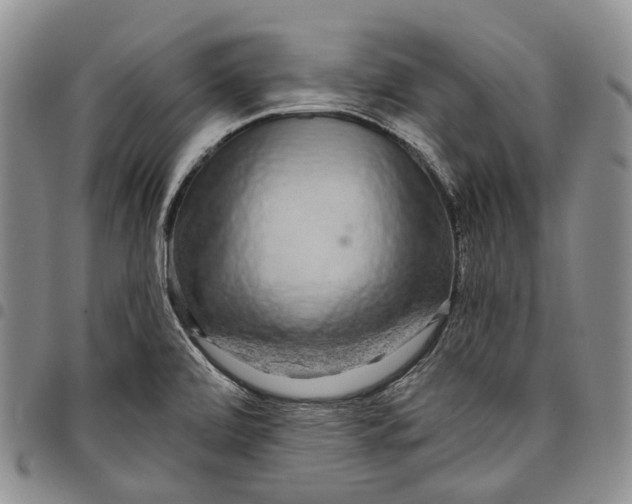 X0000097991472200804141130