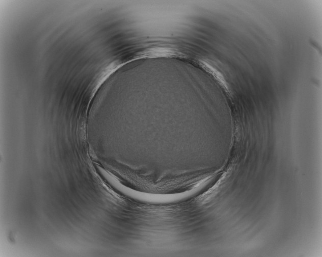 X0000097991473200804141130