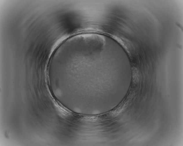 X0000097991474200804141130