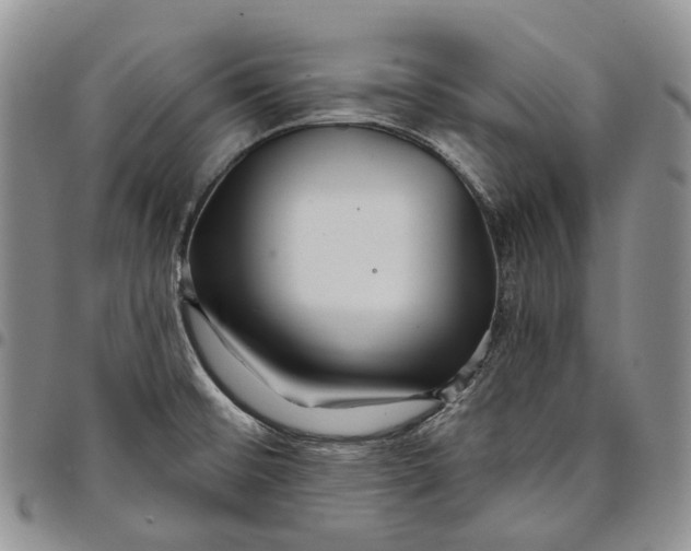 X0000097991476200804141130