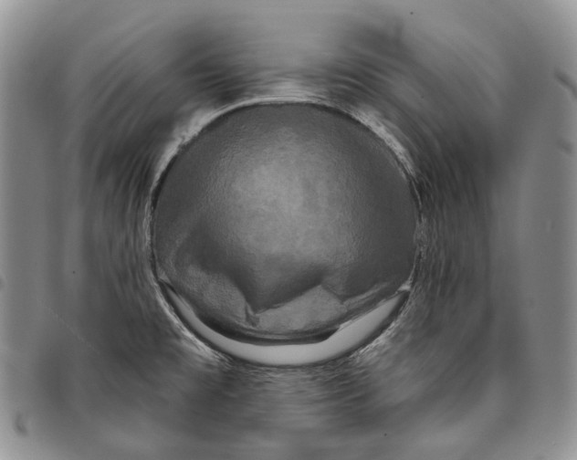 X0000097991477200804141130