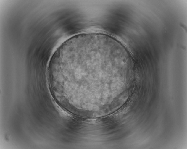 X0000097991478200804141130