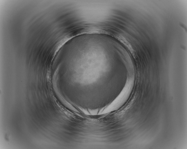 X0000097991481200804141130