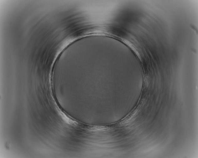 X0000097991482200804141130
