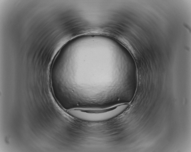 X0000097991483200804141130