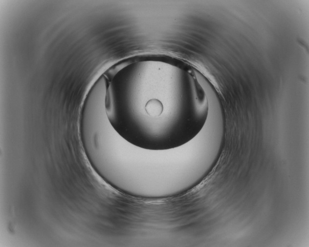 X0000097991484200804141130