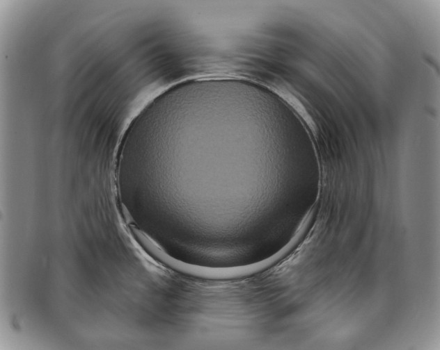 X0000097991485200804141130