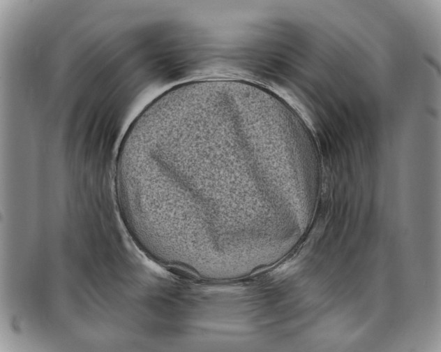 X0000097991486200804141129