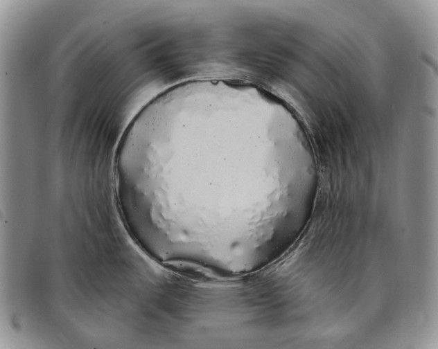 X0000097991487200804141129