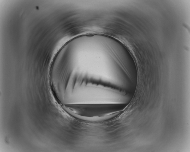 X0000097991488200804141129