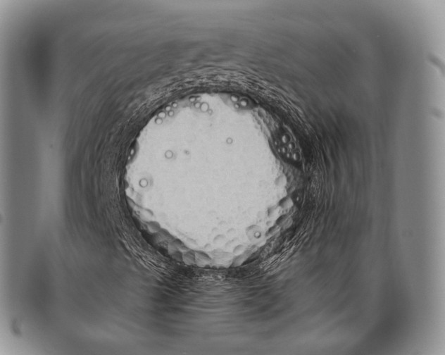 X0000097991489200804141129