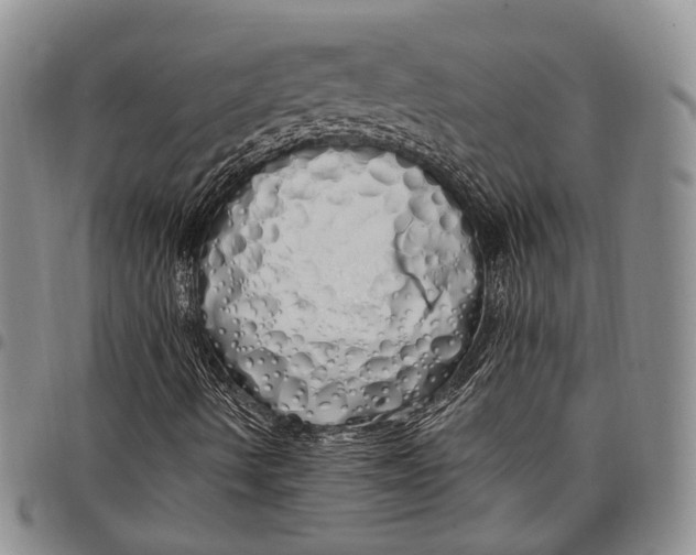 X0000097991490200804141129