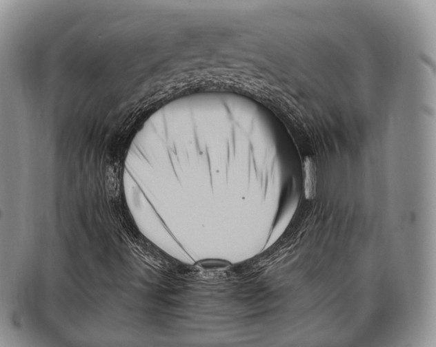 X0000097991491200804141129