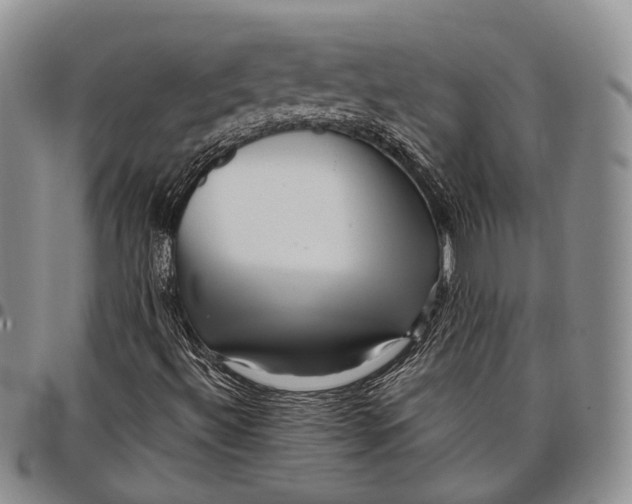 X0000097991492200804141129