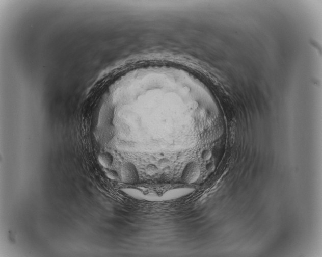 X0000097991494200804141129