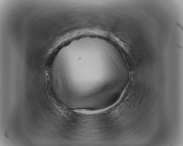 X0000097991496200804141129